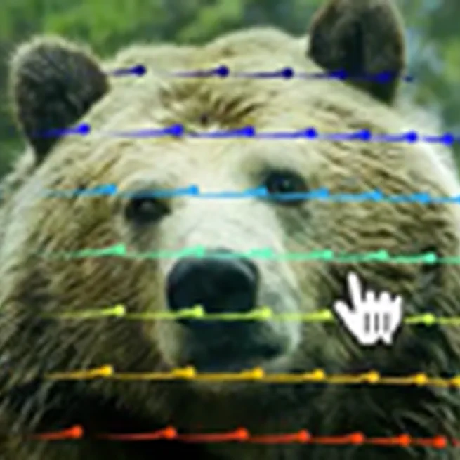 Motion prompting: Controlling video generation with motion trajectories